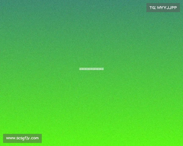 拳击最高级赛事—拳击最高级别赛事